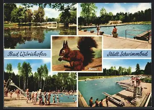 AK Bad Wörishofen, Städtisches Schwimmbad am Sonnenbüchl, Eichhörnchen Hansi