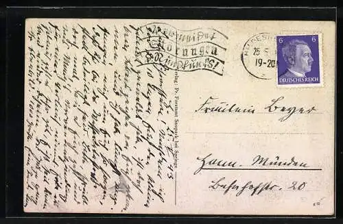 AK Wildschweine mit Frischlingen auf einer Wiese