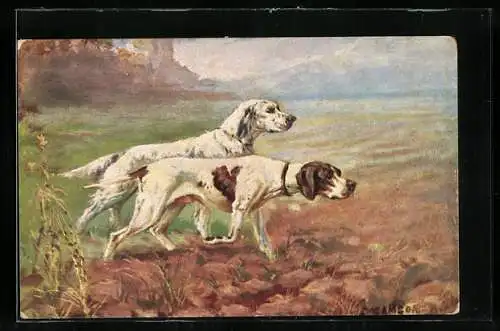 AK zwei Jagdhunde bei der Spurenaufnahme