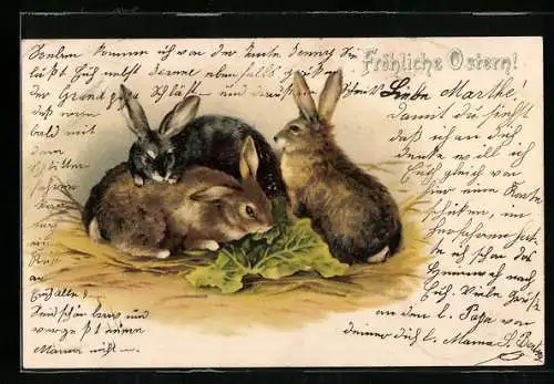 Lithographie Drei Kaninchen mit einem Kohlblatt