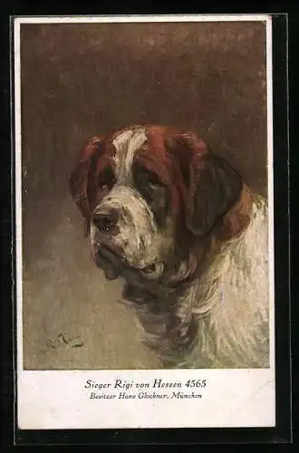 Künstler-AK Bernhardiner Gemälde