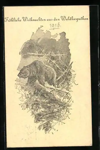 AK Waldkarpathen, Bär im Unterholz