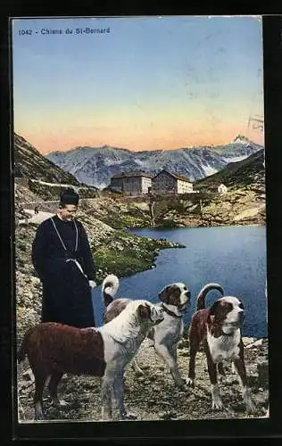AK St-Bernard, Bernhardiner mit Geistlichem vor See und Gebäuden