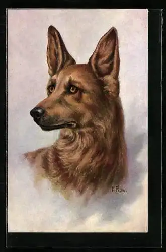 Künstler-AK Schäferhund - Portrait