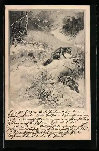 Künstler-AK Theo Stroefer Nr.: 7, Fuchs sitzt im Schnee und schaut zum Hasen der seinen Bau verlässt