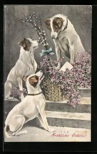 AK Drei Hunde mit Weidenkätzchenstrauss und Blüten, Ostergruss