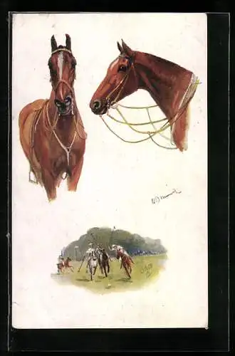 Künstler-AK Pferdetypen und Polospiel