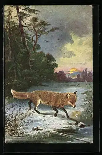Künstler-AK Fuchs schleicht durch den Wald bei Dämmerung