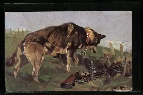 AK Der Sanitätshund entdeckt in einer Wolfsgrube einen Verwundeten