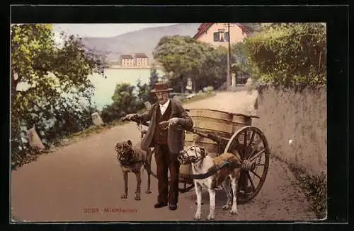 AK Milchkarren mit Hundegespann