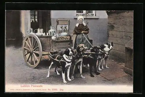 AK Laitière Flamande, Milchkarren mit Hundegespann