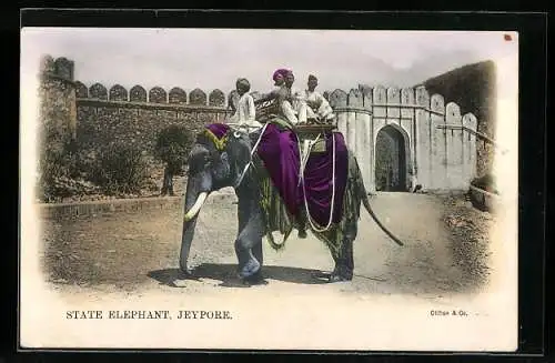AK Jeypore, State Elephant