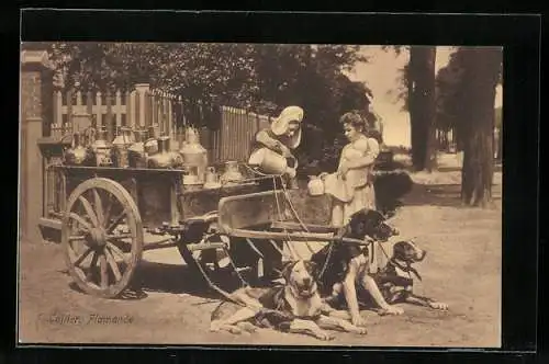 AK Milchverkäuferin mit Hundegespann beim Verkauf von Milch