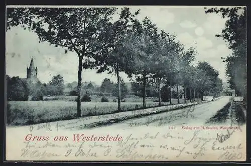 Mondschein-AK Westerstede, Partie auf der Landstrasse mit Blick zur Kirche