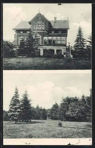 AK Linswege, Villa, Ortspartie