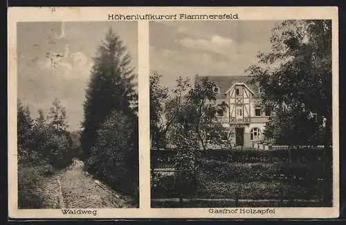 AK Flammersfeld, Gasthof Holzapfel, Waldweg
