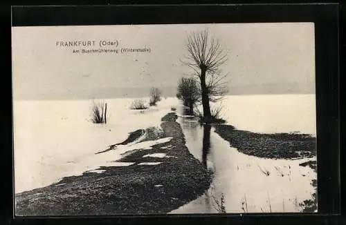 AK Frankfurt /Oder, Winterstudie am Buschmühlenweg, Hochwasser