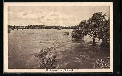 AK Frankfurt a. O., Hochwasser am Eichwald