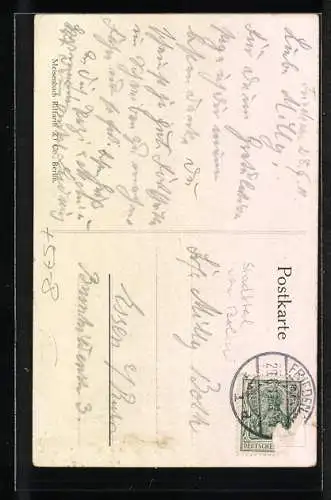 AK Brandenburg a. H., Blumentag der Provinz Brandenburg 1911