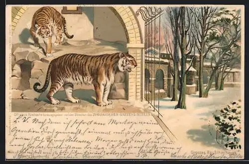 Lithographie Berlin, grosses Raubtierhaus im Zoologischen Garten