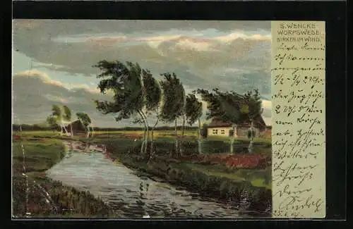 Künstler-AK S.Wencke: Birken im Wind