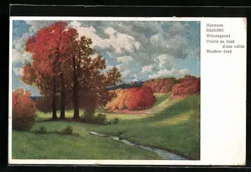 Künstler-AK Hermann Rüdisühli: Wiesengrund