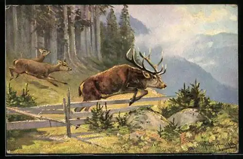 Künstler-AK M.Müller jun.: Hirsch springt über einen Zaun, Rehe folgen ihm