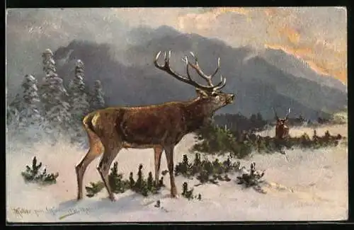 Künstler-AK M. Müller jun.: Hirsch im Schnee