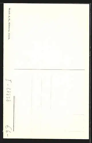 AK Isola dei Pescatori, Lago Maggiore, Häuser am Ufer