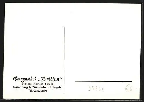 AK Luisenburg / Fichtelgeb., Berggasthof Waldlust, Speisesaal