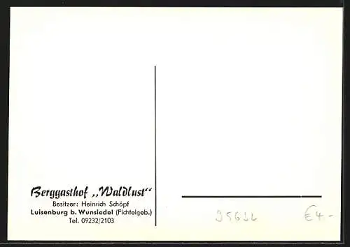 AK Luisenburg / Fichtelgeb., Berggasthof Waldlust, Speisesaal