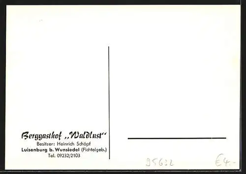 AK Luisenburg / Fichtelgeb., Berggasthof Waldlust, Speisesaal