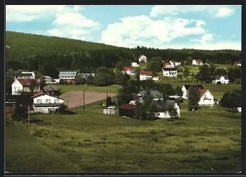 AK Fleckl im Fichtelgebirge, Ortsansicht mit Wald