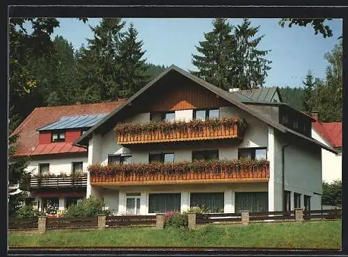 AK Warmensteinach, Pension Friedrich, Blöcherweg 229