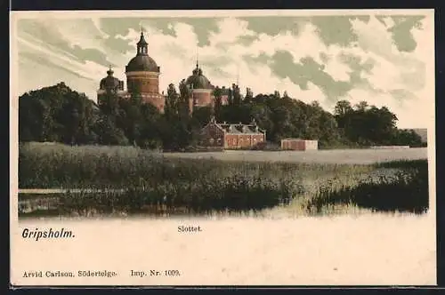 AK Gripsholm, Slottet