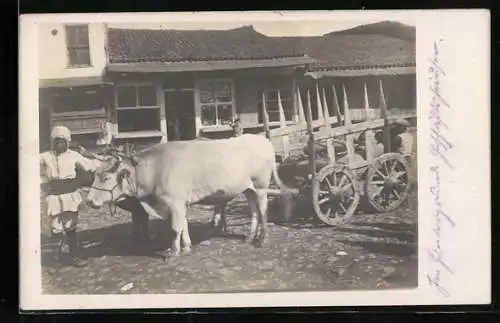 AK Osteuropäischer Bauer und Ochsen-Wagen mit Kindern vor einem Haus