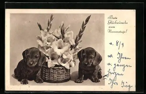 AK Zwei Dackelwelpen mit Blumenkorb, Namenstagsgruss