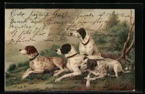 Künstler-AK Jagdhunde liegen auf der Lauer