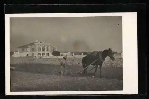 Foto-AK Pflügender Bauer mit Pferdegespann vor einem Gebäude