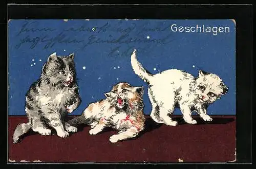 Lithographie Geschlagen, Junge Katzen nach einem Kampf