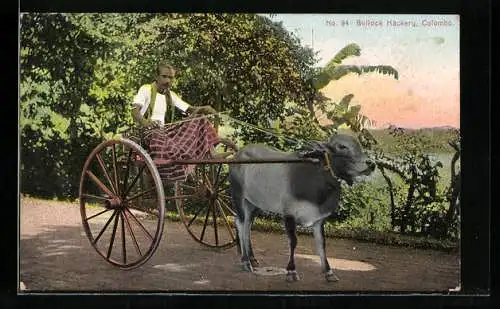 AK Colombo, Bullock Hackery