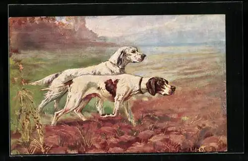AK Zwei Jagdhunde an einem Seeufer