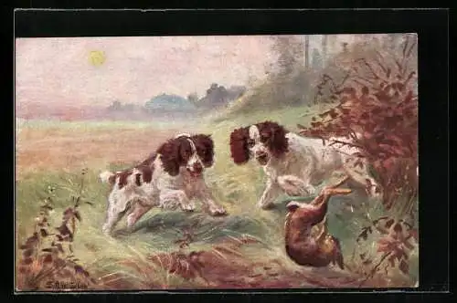 Künstler-AK Zwei hübsche Jagdhunde jagen einen Feldhasen