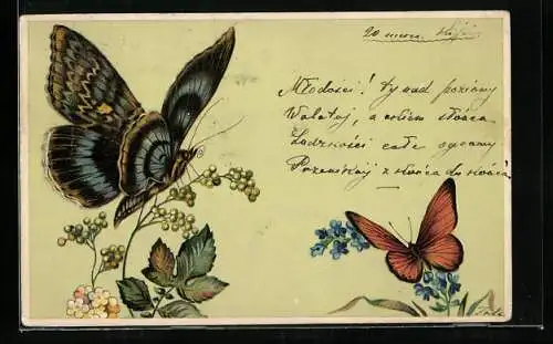 Lithographie Zwei bunte Schmetterlinge mit ausgebreiteten Flügeln