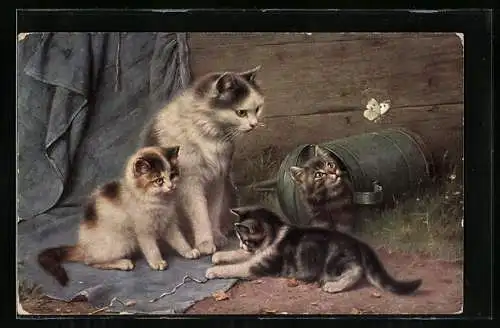 AK Katze mit drei Katzenkindern schauen zu Schmetterling