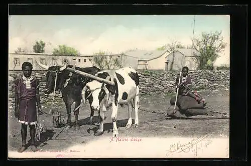 AK Africa, A Native Sledge