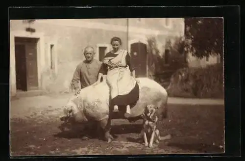 Foto-AK Junges Bauernpaar mit grossem Schwein und Schäferhund