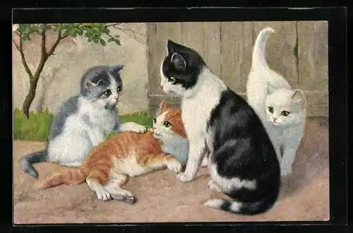 AK junge Katzen spielen im Garten