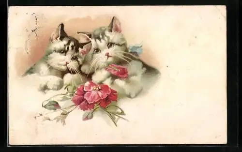 Lithographie Zwei junge Katzen und eine Rose