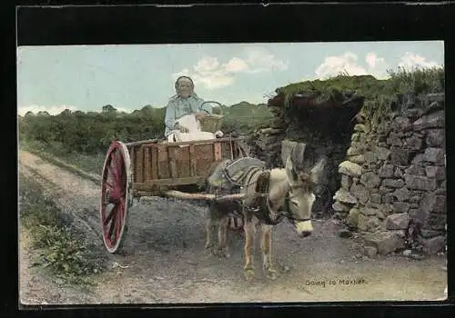 AK Bäuerin im Eselgespann auf dem Weg zum Markt